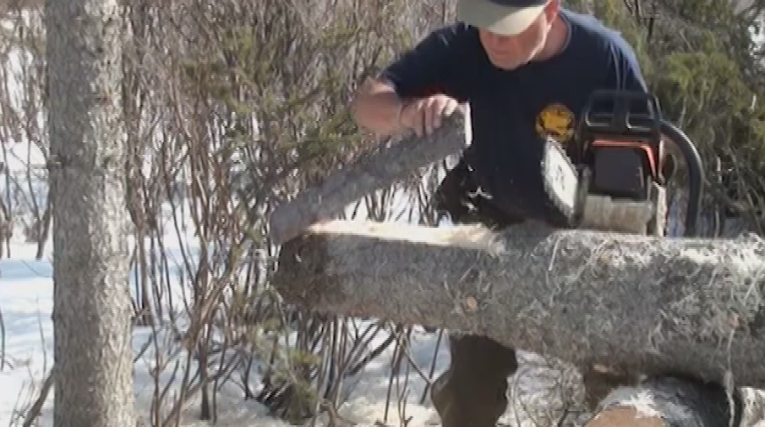 Thumbnail image for Chainsaw Shingles