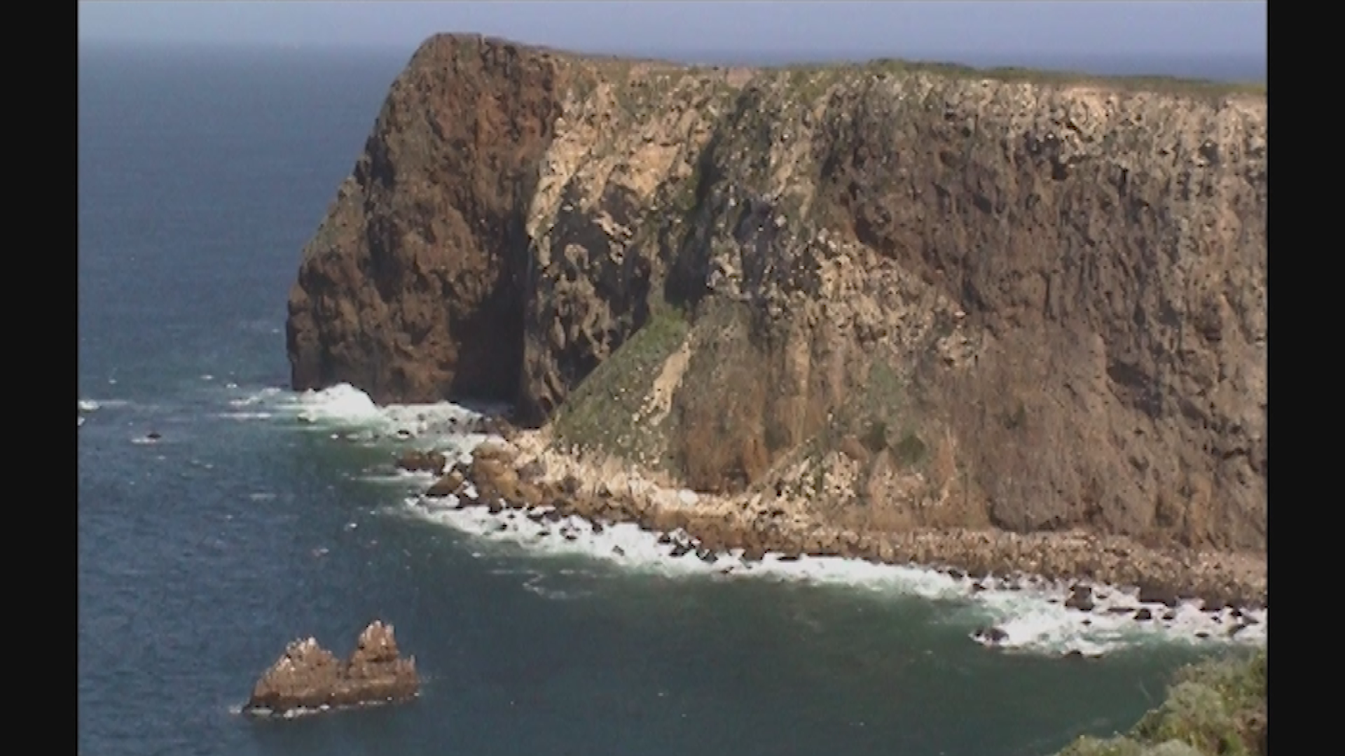 Thumbnail image for Desire to Experience Newness